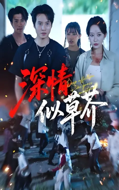 《深情似草芥》：一曲平凡人生的悲歌，爱如野草般坚韧却易逝