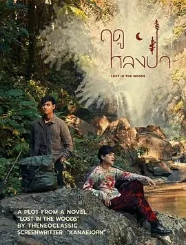 《林中爱季》：平凡爱情的细腻描摹，在生活琐碎中绽放的温情与希望